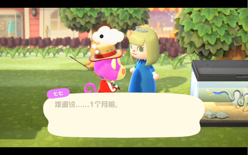 【动森】温柔的七七