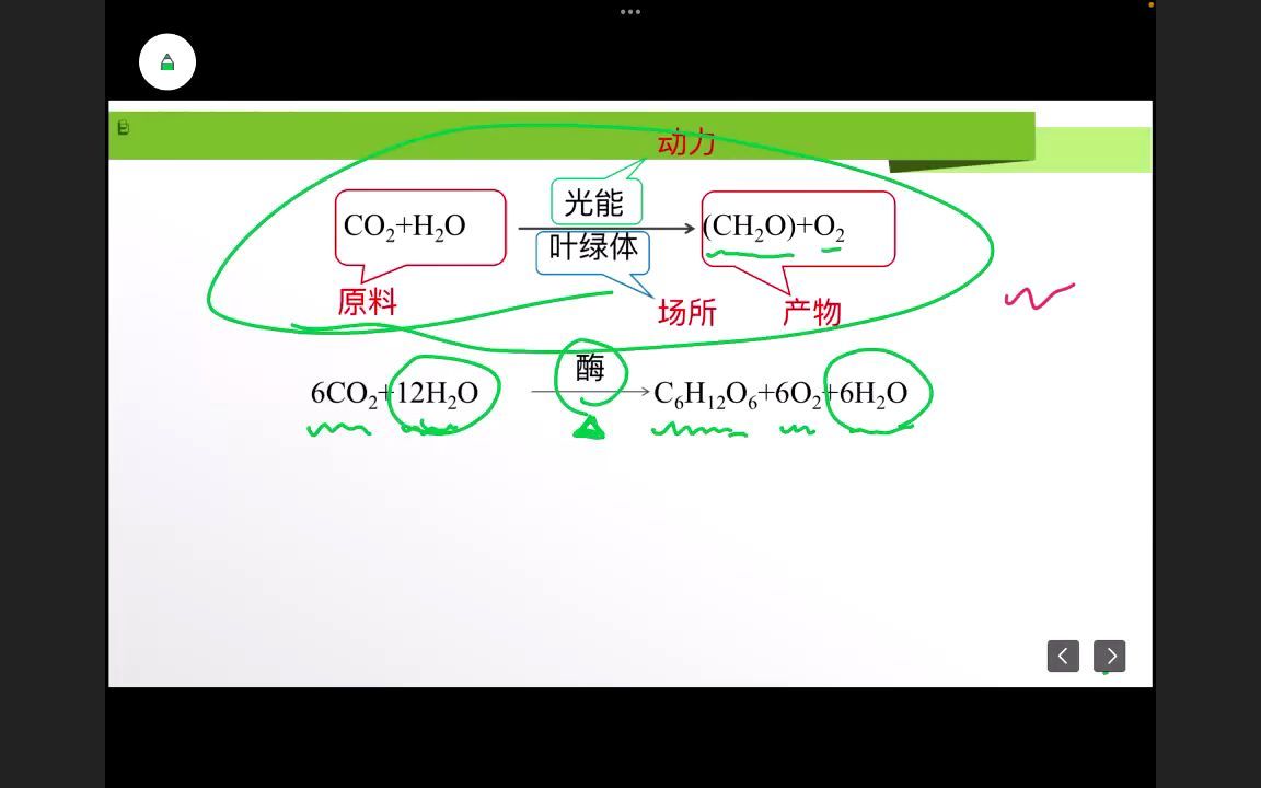 光合作用反应过程哔哩哔哩bilibili