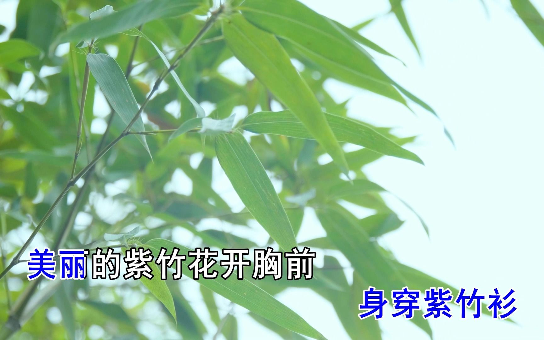 《紫竹调》杨迎DIYKTV字幕哔哩哔哩bilibili