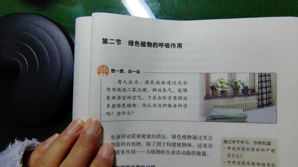 七年级上册生物期末复习—呼吸作用-生物老师带你学生物学-生物老师带