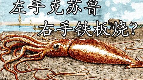 四种方法带你区分乌贼 鱿鱼和章鱼 哔哩哔哩 Bilibili