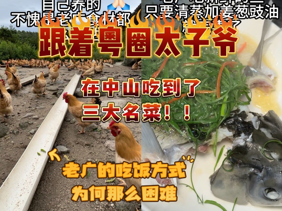 跟着粤圈太子爷去中山吃饭？！本以为吃点漂亮饭……没想到又带我钻进奇奇怪怪的山旮旯？？！！