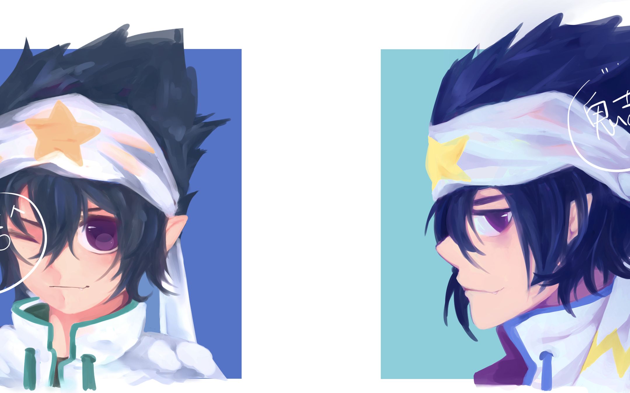 凹凸板绘雷狮幼年成年