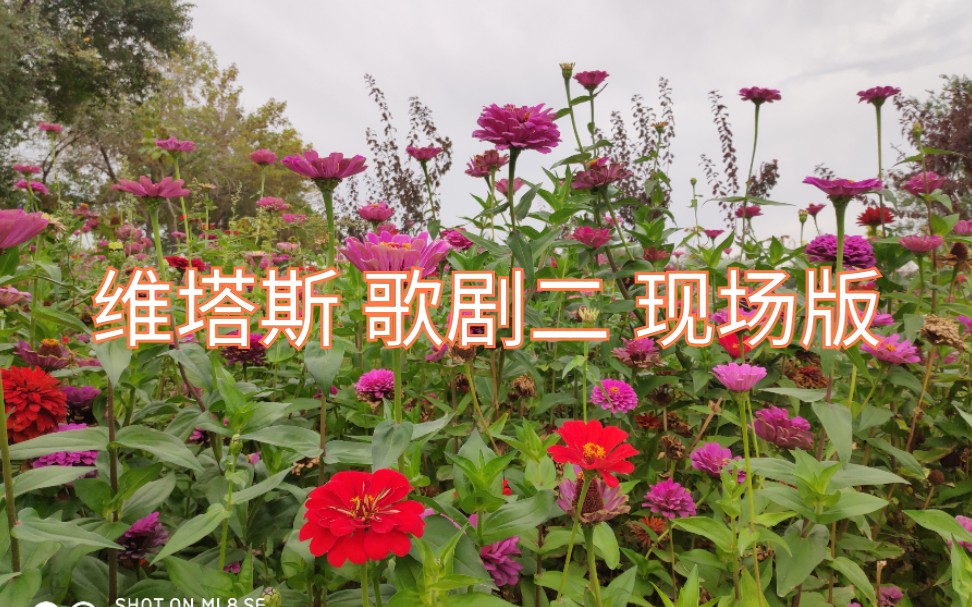 维塔斯歌剧二-tsourunsheng-tsourunsheng-哔哩哔哩视频