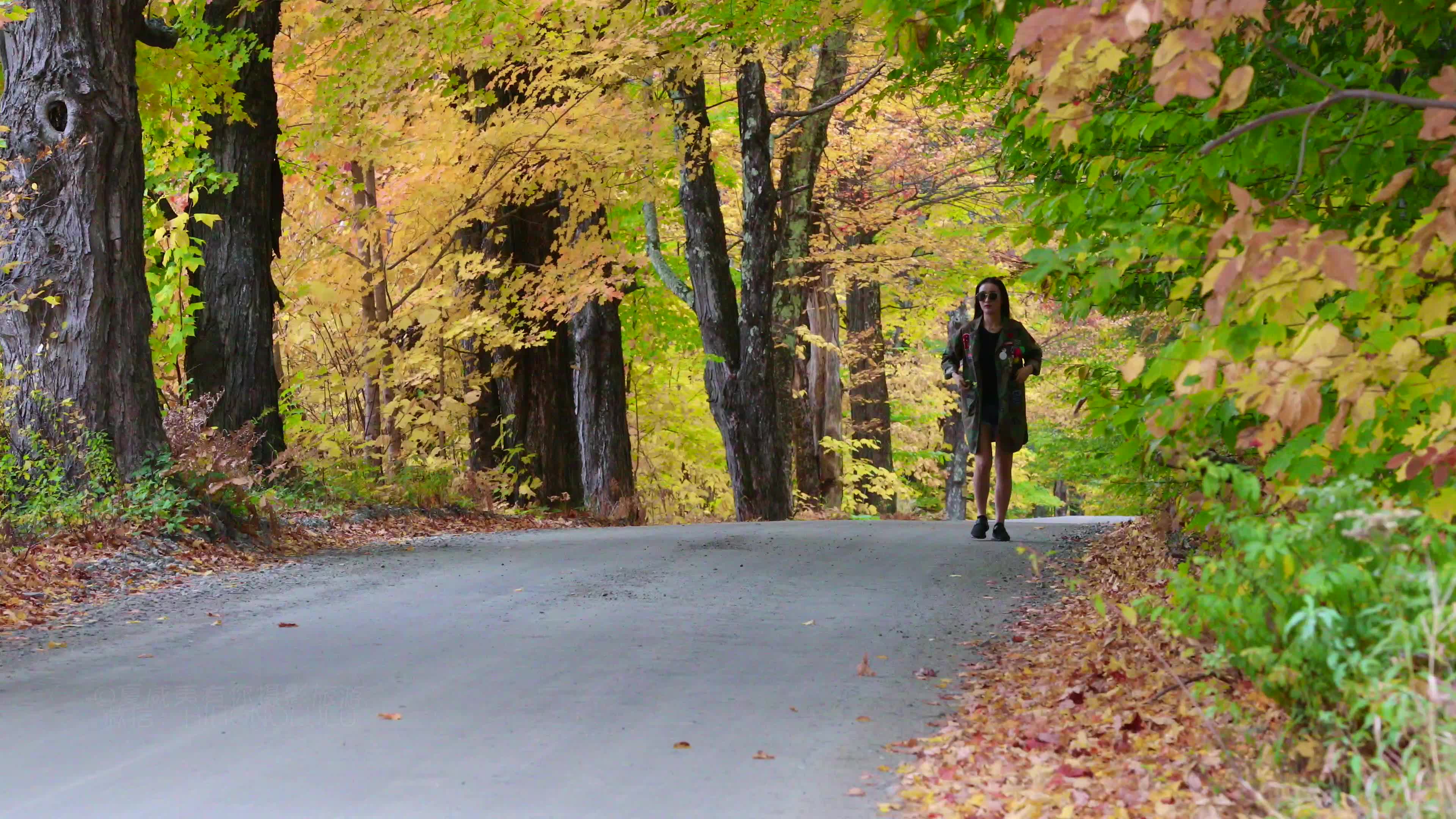美国摄影旅游 新英格兰的秋天 佛蒙特州秋色 green mountain and