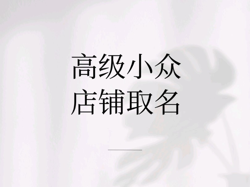 高级小众店铺起名哔哩哔哩bilibili