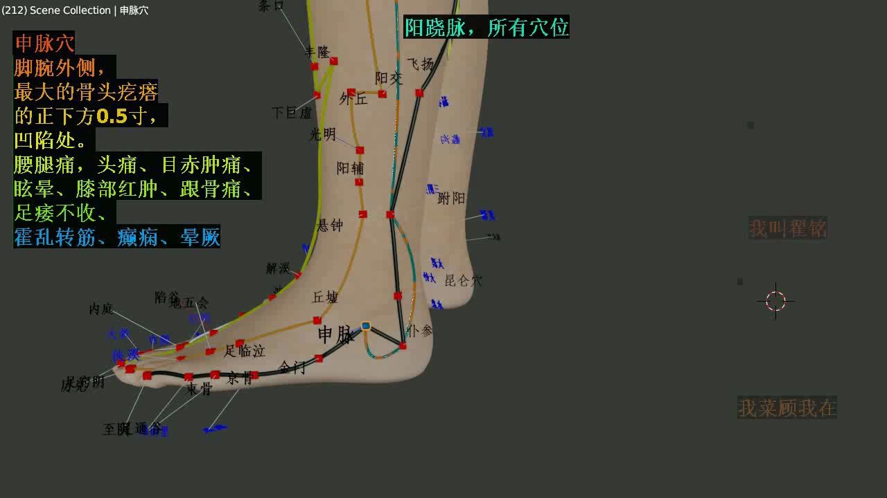 阳跷脉,所有穴位