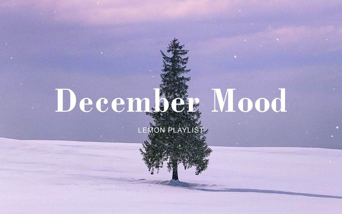 [图]𝐏𝐥𝐚𝐲𝐥𝐢𝐬𝐭 - 12月歌单 December mood 冬日私藏氛围音乐 沉浸学习BGM• 1 hour chill beats