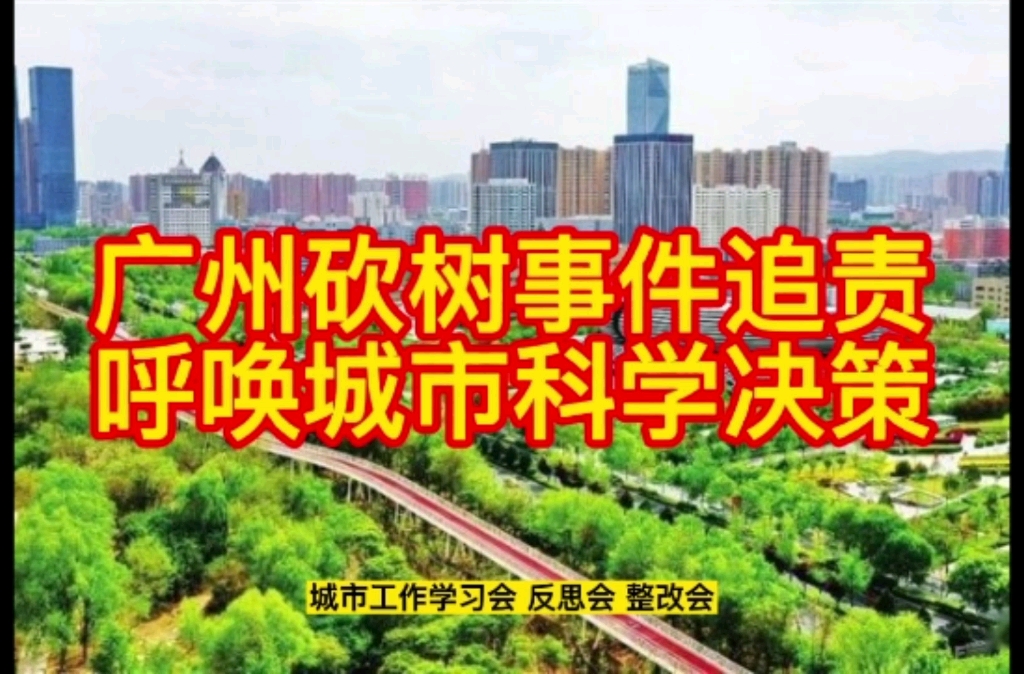 [图]广州砍树事件追责：涉及生态文明的城市工程需决策科学