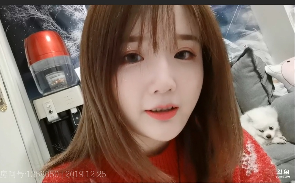 狸仔仔的小搬运工