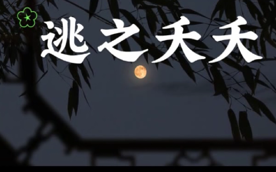 逃之夭夭 28集