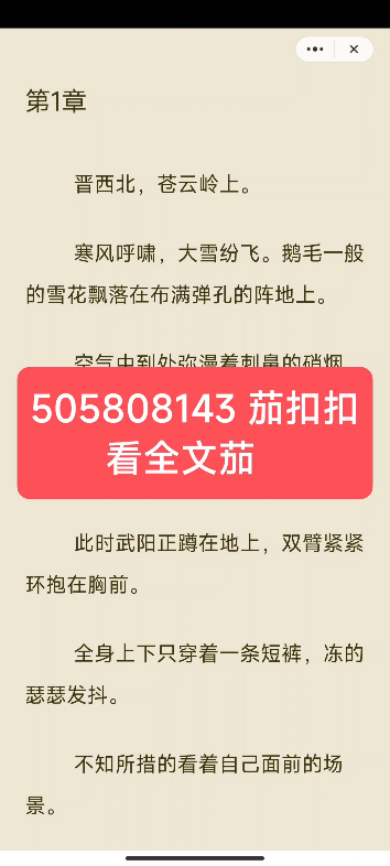 热门小说《亮剑:我揣着军火跟旅长谈交易》武阳小说哔哩哔哩bilibili