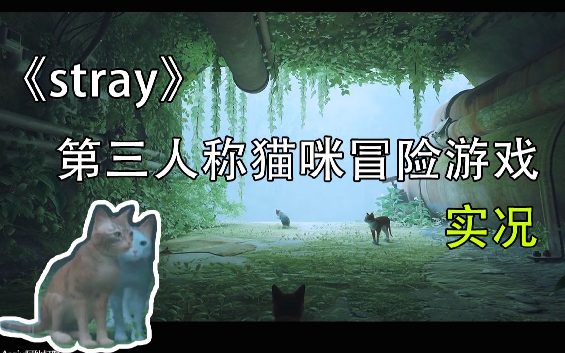 【Arqiu实况】《stray》流浪猫模拟器全流程实况游戏解说