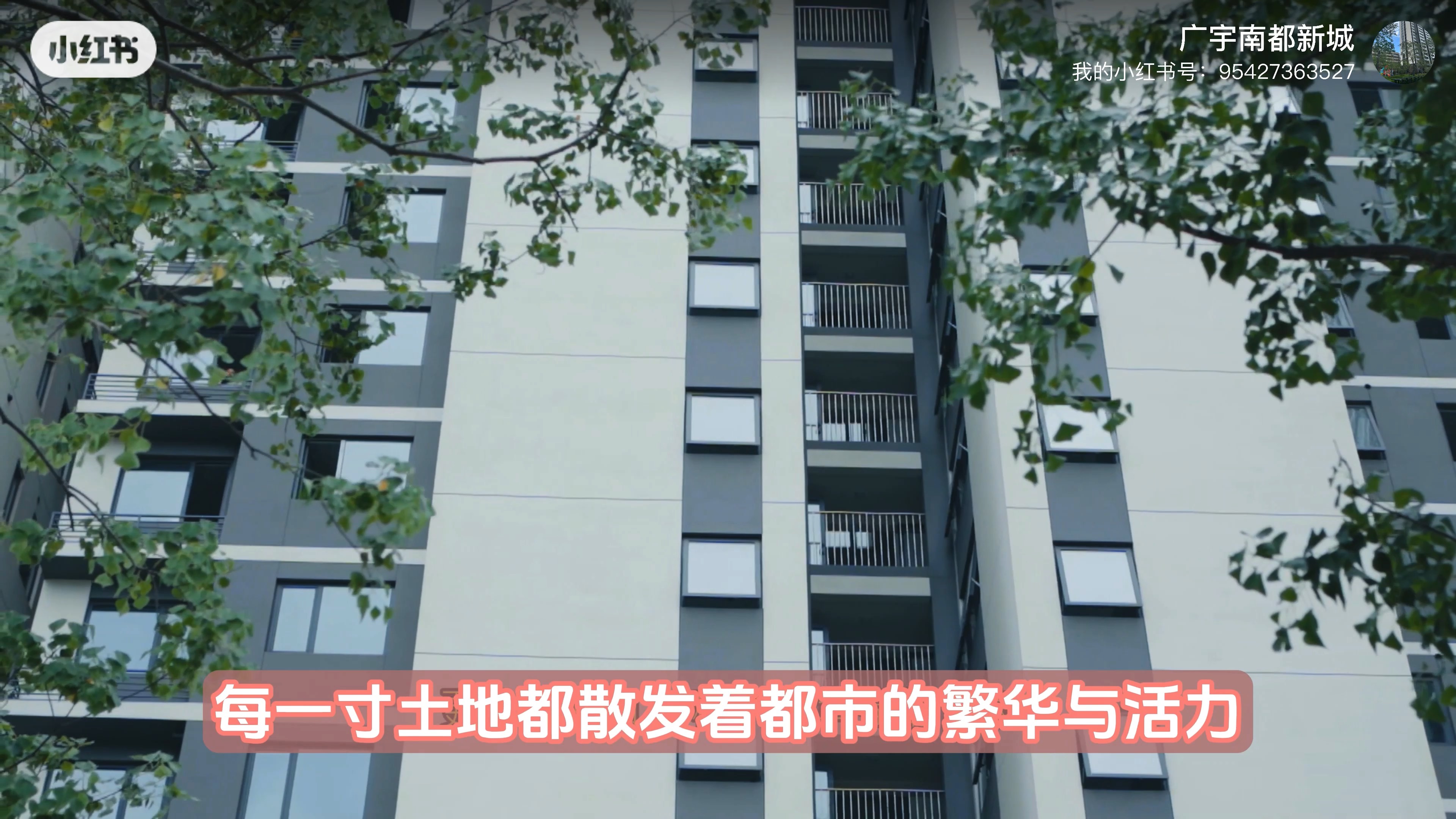 南阳主城中心十三中现房