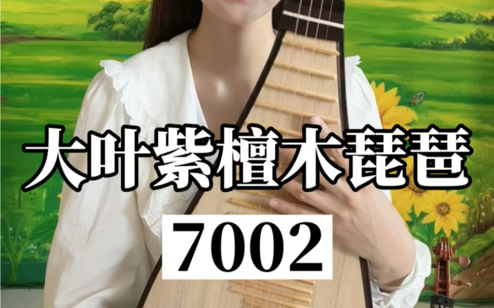 大叶紫檀木琵琶7002号哔哩哔哩bilibili