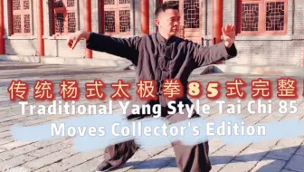 全网最详细的杨式太极拳85式教学杨大卫主讲 7小时47分的 哔哩哔哩 Bilibili
