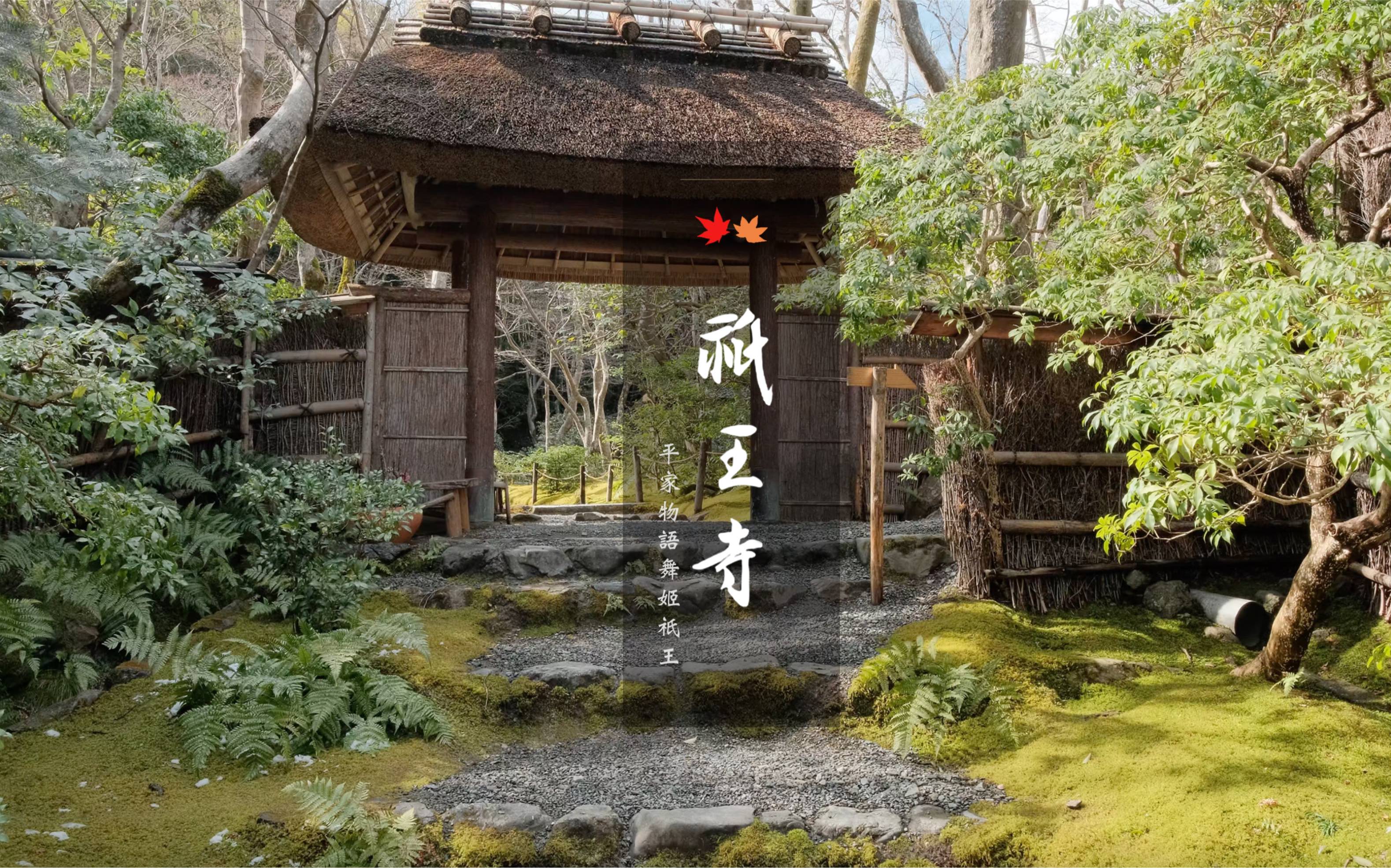 【京都祇王寺】京都最幽玄质朴的草庵|平清盛宠爱的舞姬祇王修行道场|京都悲情尼姑庵哔哩哔哩bilibili