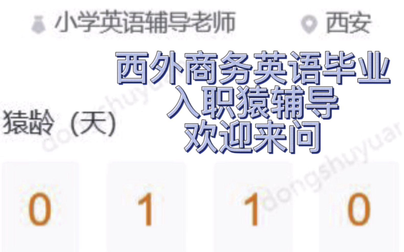西安外国语大学商务英语22年毕业入职猿辅导一百多天啦哔哩哔哩bilibili