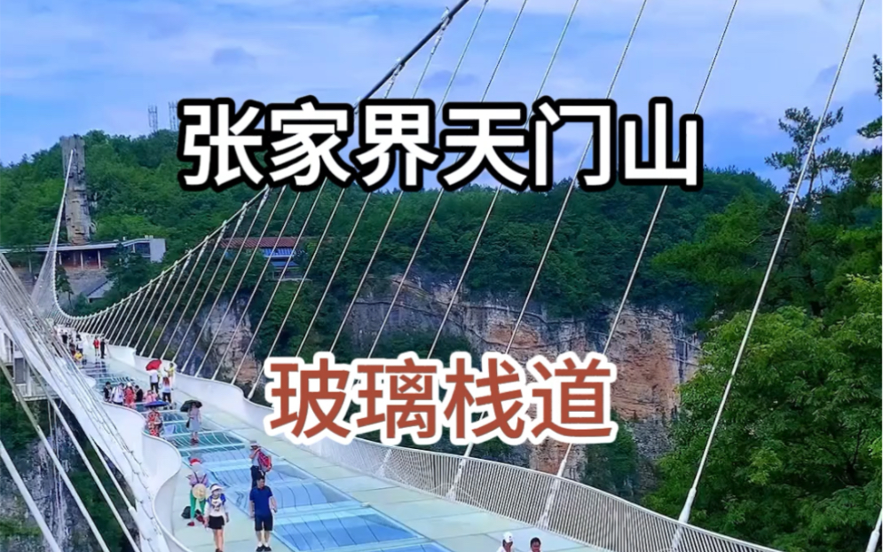 旅行碎片 #旅行推荐 #旅游攻略 张家界天门山 玻璃栈道