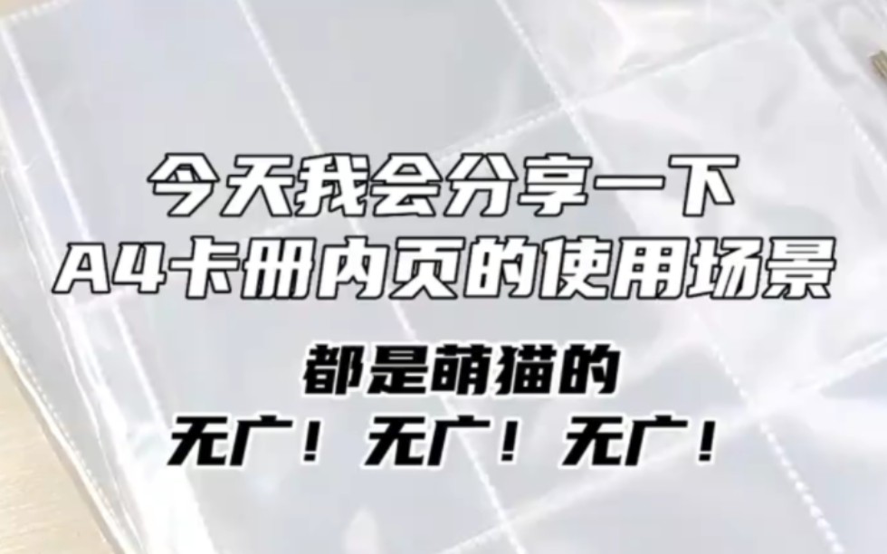 A4收纳册内页尺寸的指南|追星、吃谷、小说|内页推荐|萌猫内页|kpop小卡、偶像活动卡、小说周边、明信片、仿拍立得、镭射票、票根哔哩哔哩bilibili