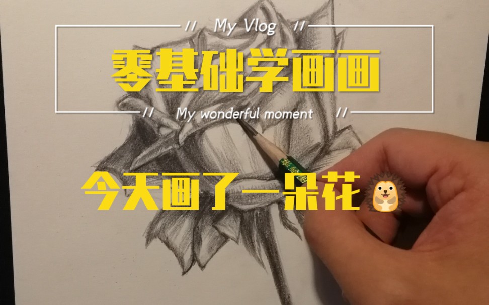 【零基础学素描】素描 一朵花花哔哩哔哩bilibili