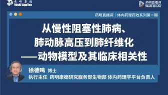 体内药理药效：从慢性阻塞性肺病、肺动脉高压到肺纤维化--动物模型及其临床相关性
