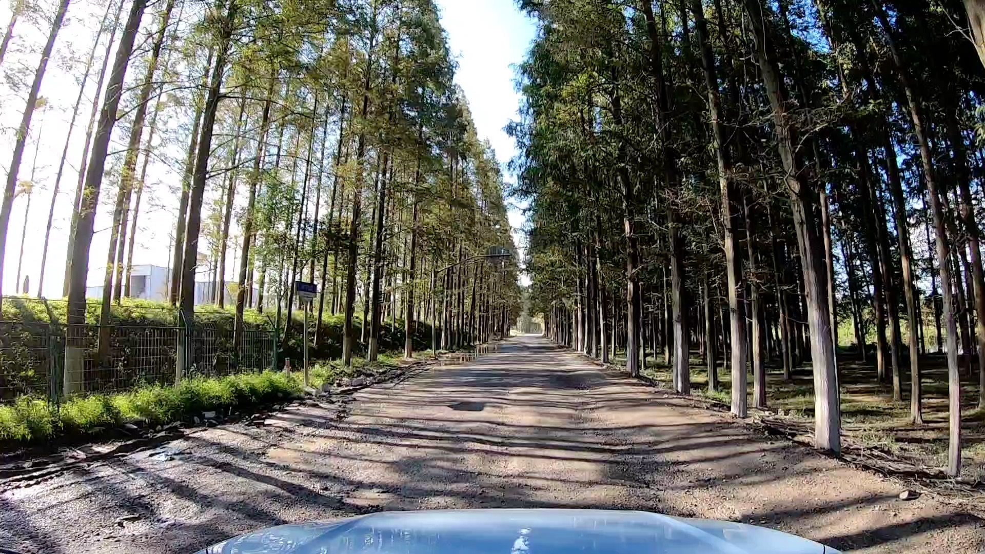 林间公路之塘下公路