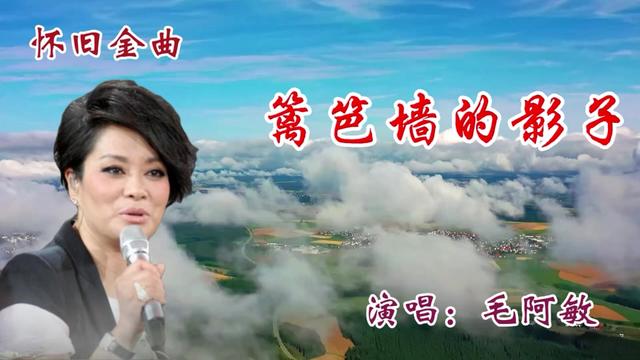 怀旧老歌《篱笆墙的影子》优美的旋律,满满的回忆,毛阿敏原唱