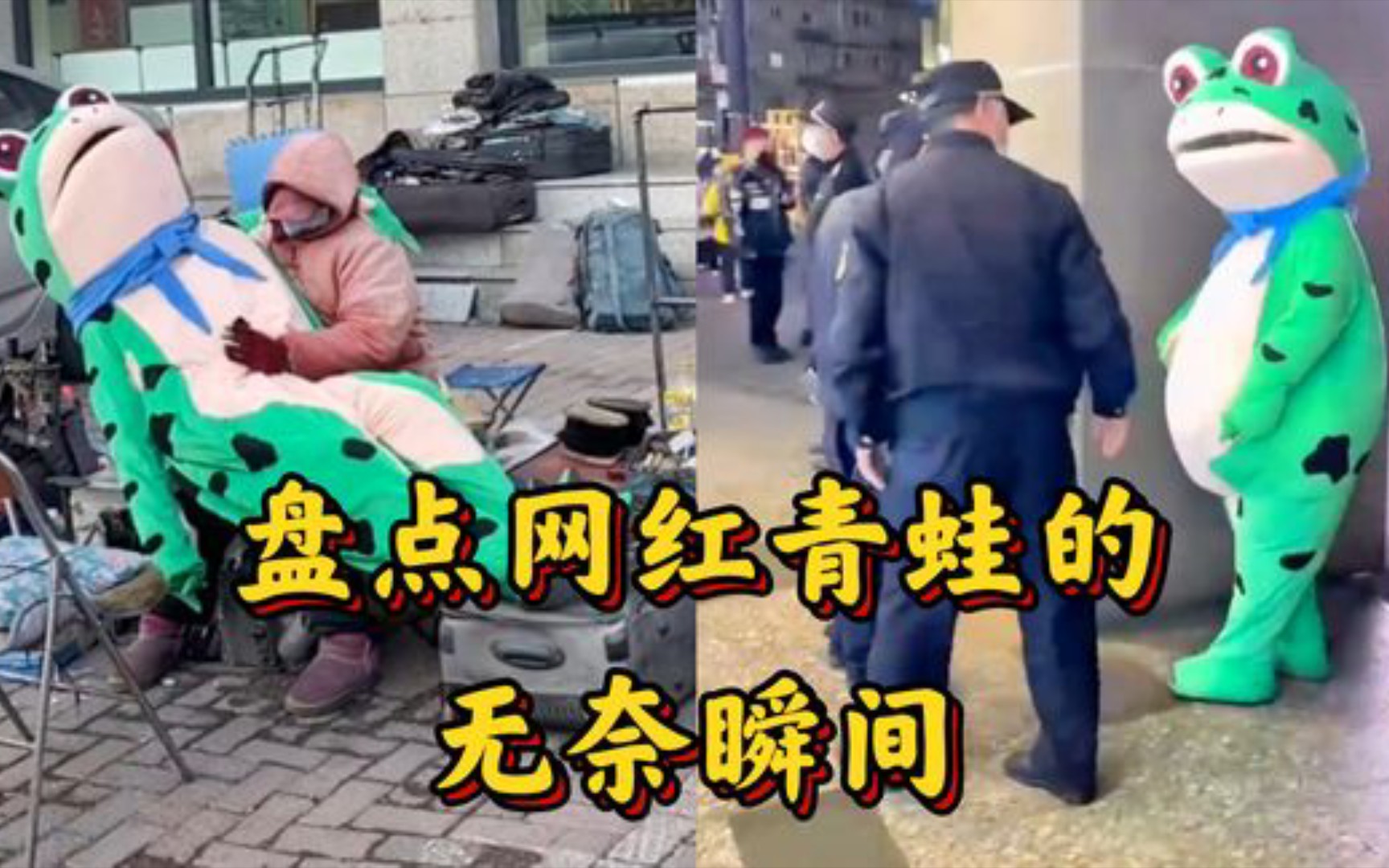 [图]盘点网红青蛙的无奈瞬间，幸福生活来之不易，我们都在用力的活着