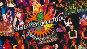 Hello! Project 2005 Winter A HAPPY NEW POWER! 紅組_哔哩哔哩(゜-゜ 