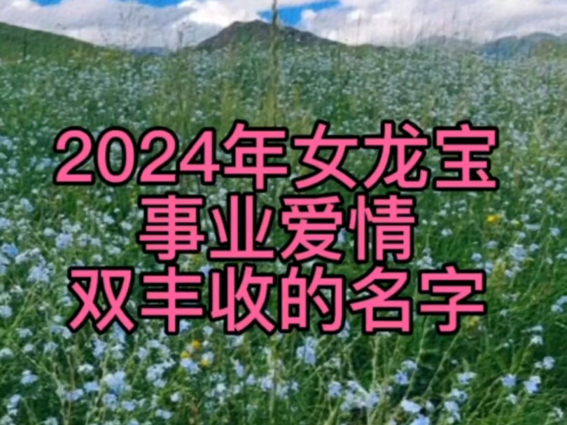 2024年女龙宝事业爱情双丰收的好名字哔哩哔哩bilibili