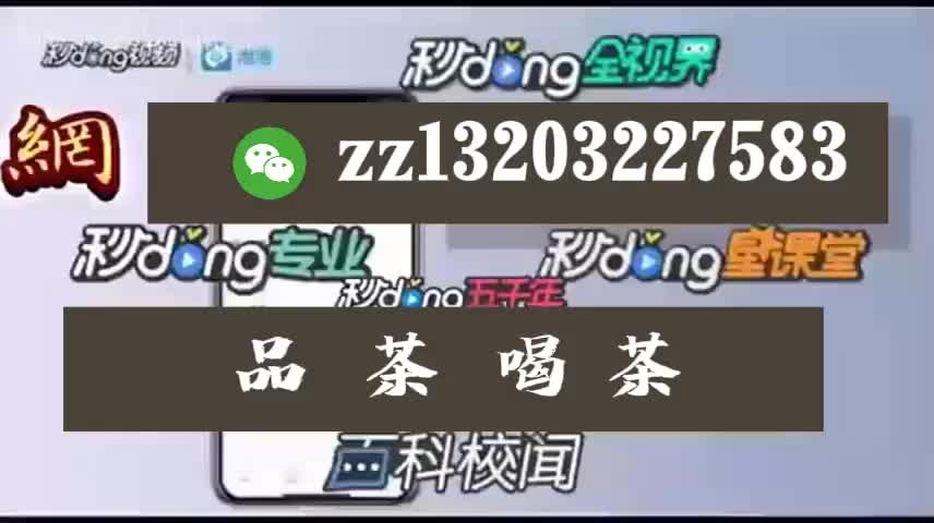 深圳品茶高质量工作室