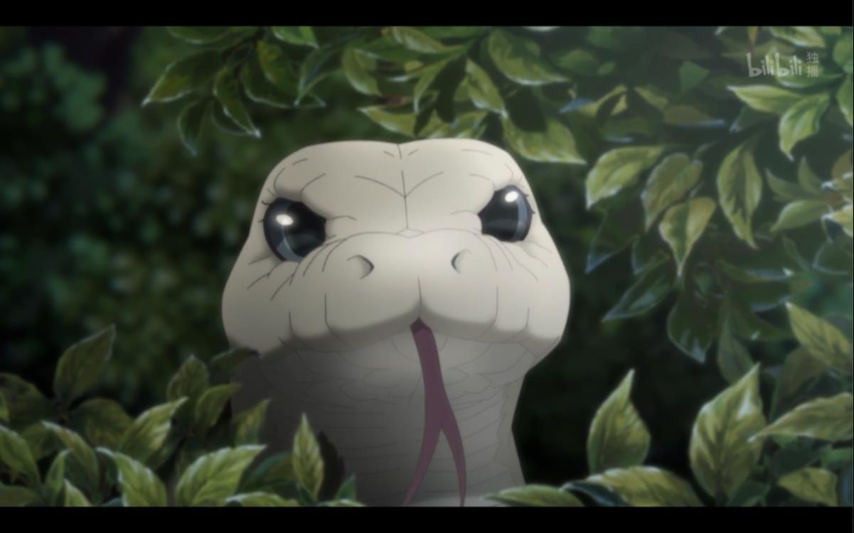 化蛇这么可爱,二狗你怎么忍心杀他!【百妖谱化蛇篇上】