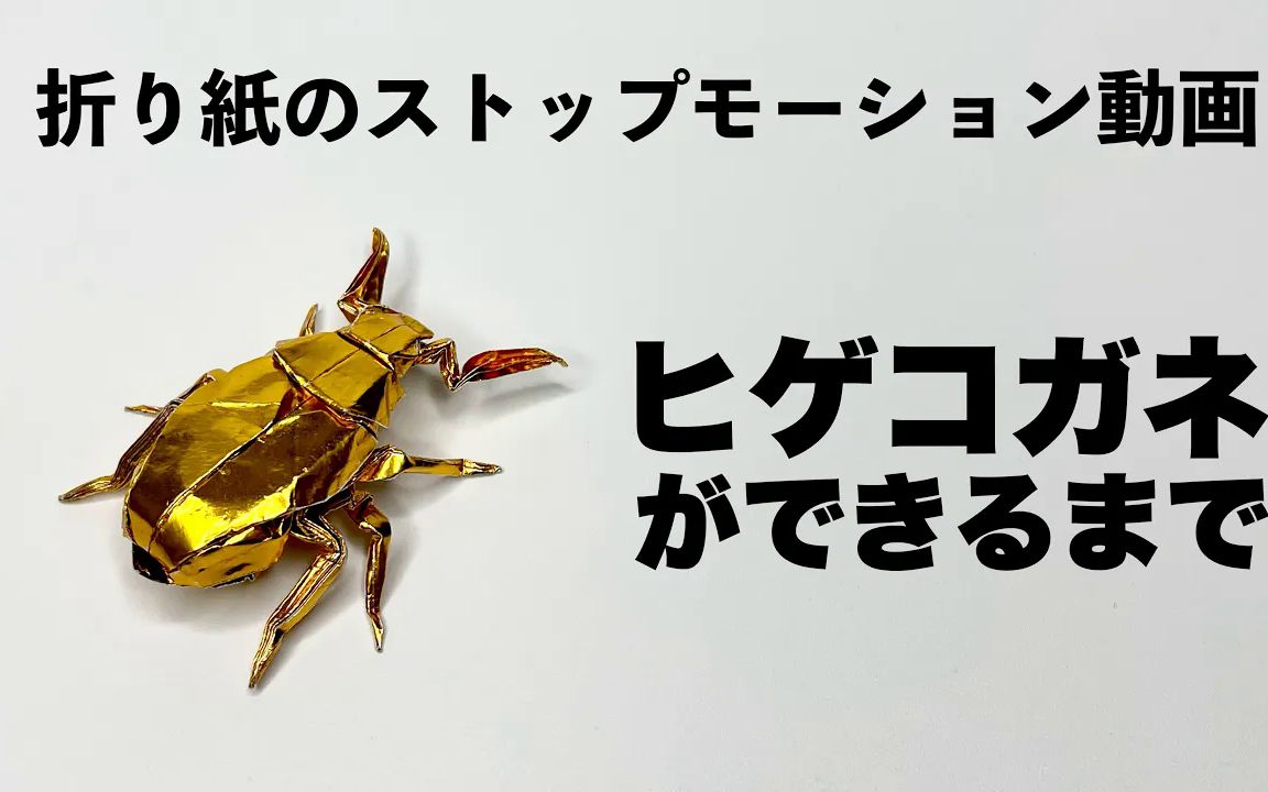 【mushitarous origami】金龟子折纸流程演示 origami cockchafer