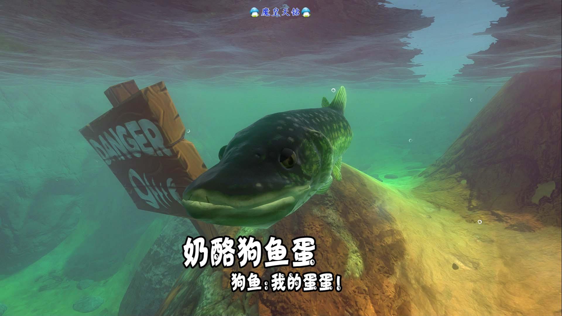 天铭海底大猎杀第三季175奶酪狗鱼蛋!狗鱼:我的蛋蛋!