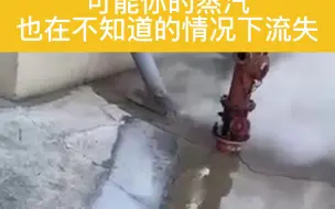 Download Video: 没装蒸汽疏水阀之前可能你的蒸汽在不知道的情况下悄悄流失