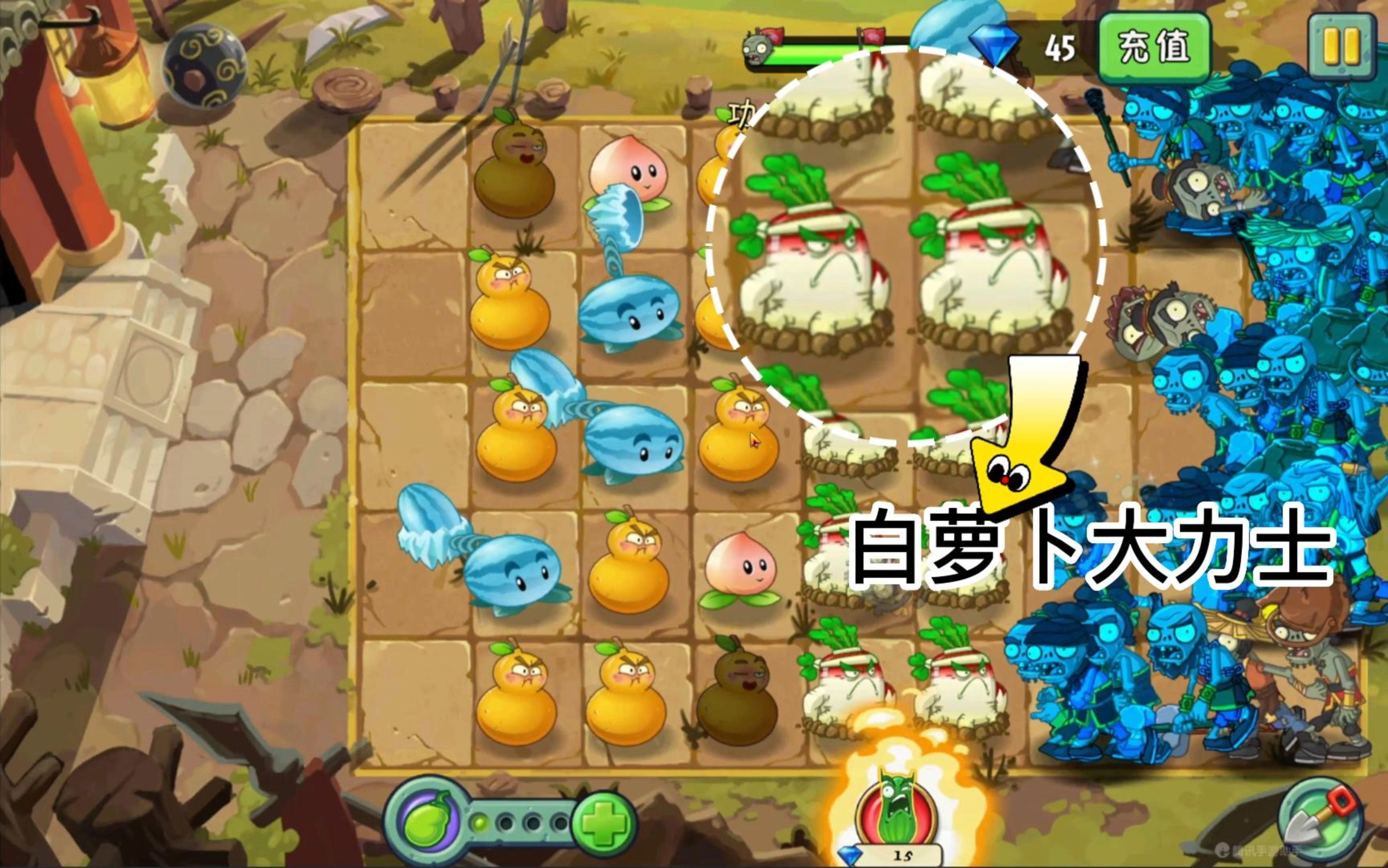 植物大战僵尸:白萝卜大力,嘎嘎