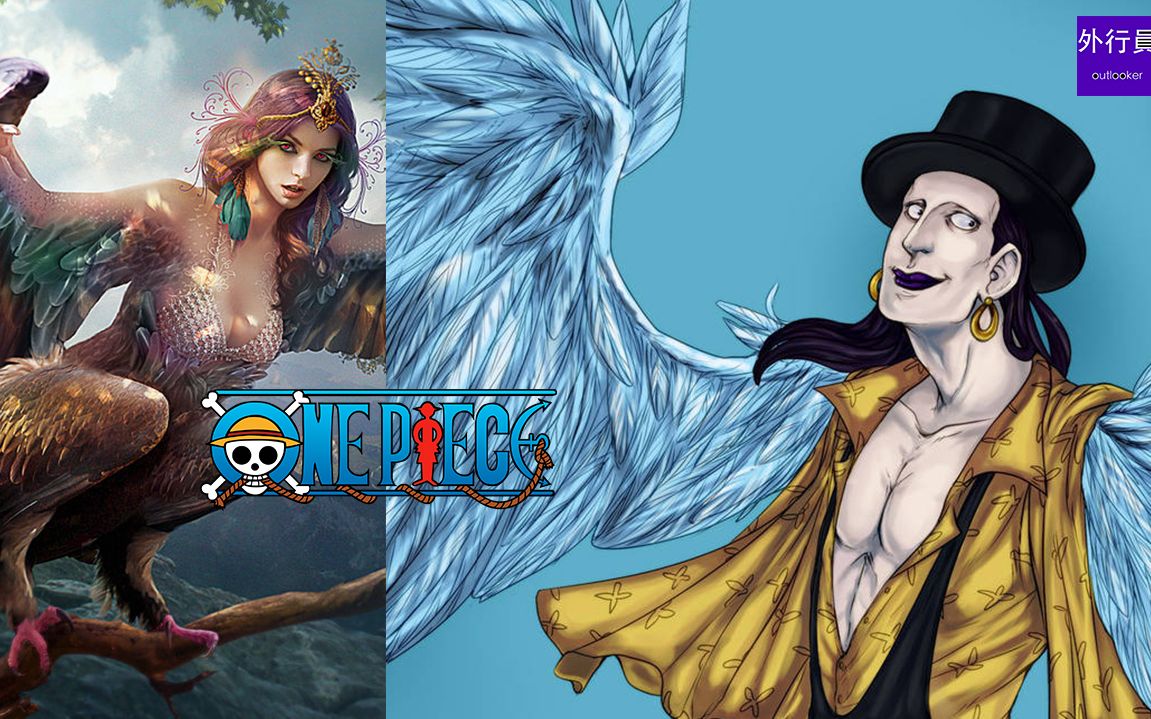 海贼王专题248幻兽种美人鸟拉菲特