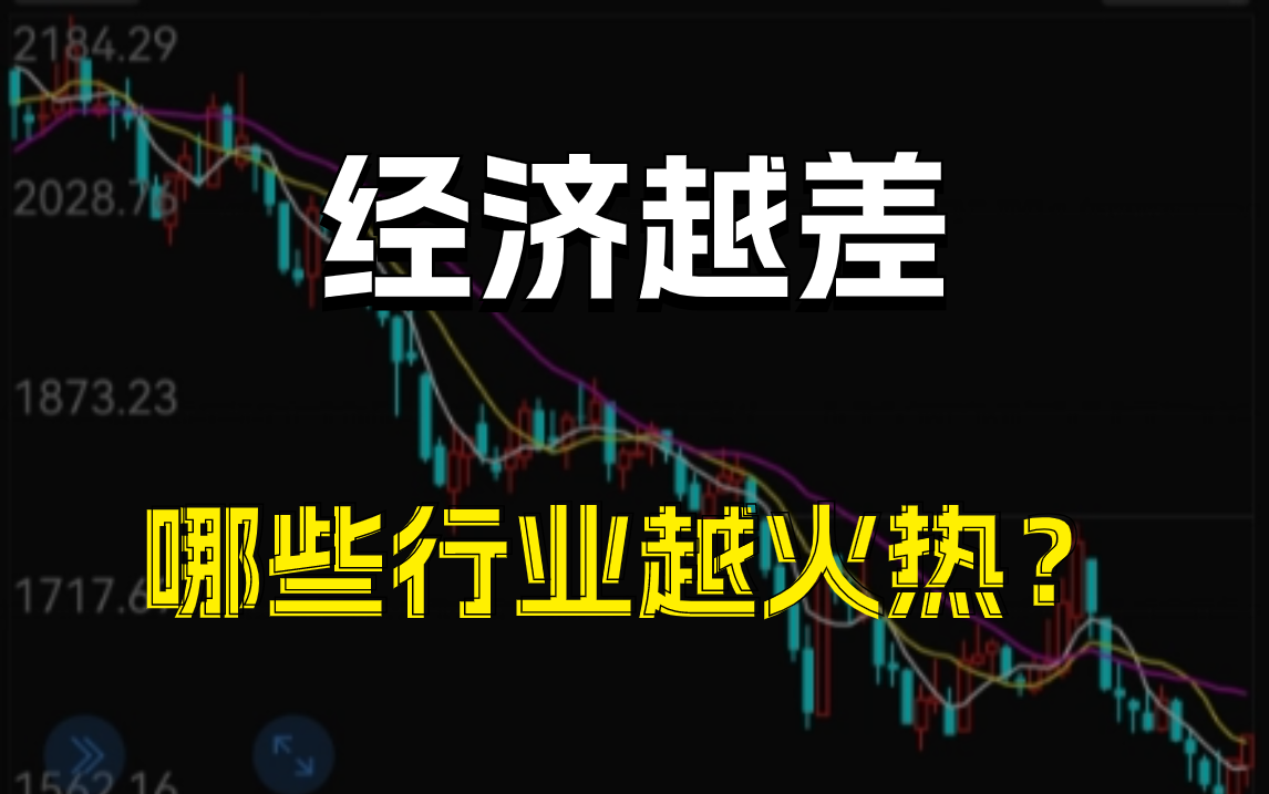 IT崩盘?如果经济继续下行,这五大语言会是未来方向!马士兵哔哩哔哩bilibili