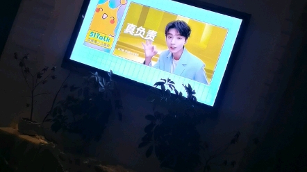 金鹰卡通电视哔哩哔哩bilibili