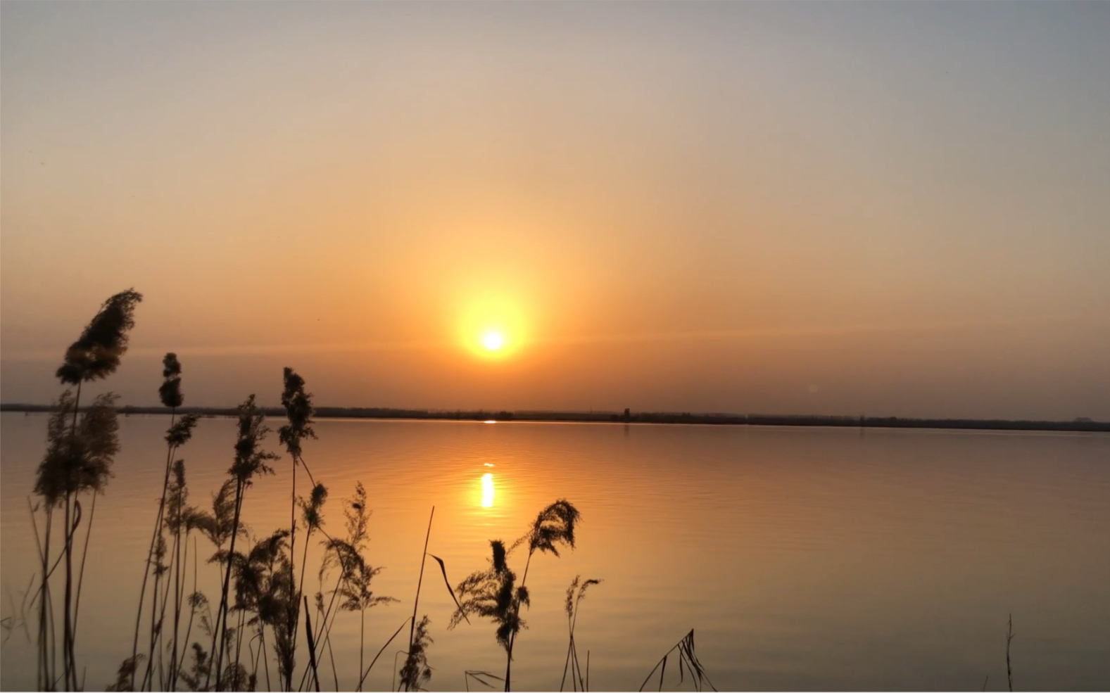 微山湖上静悄悄