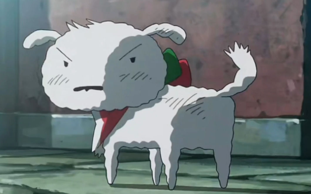 "野原的家可爱的小白"