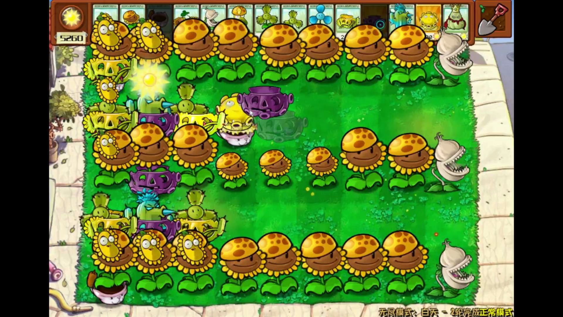 【植物大战僵尸杂交版】尝试打到无尽白天100关