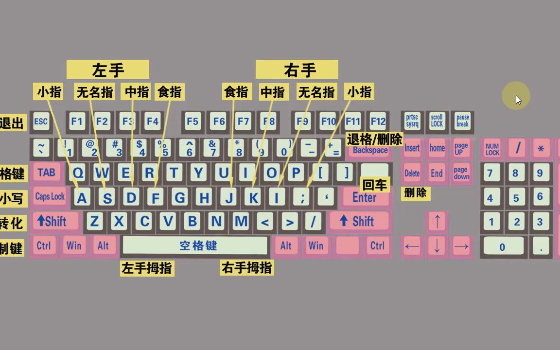 零基础快速学拼音学五笔打字教程,键盘打字快速入门