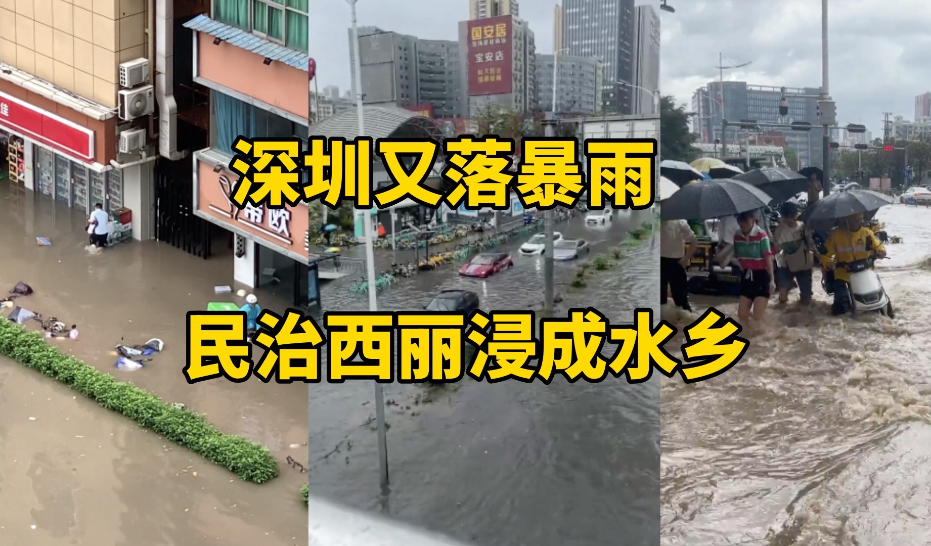 [图]广东深圳4月23日落暴雨，浸出了黄河，龙华民治南山西丽成了水乡