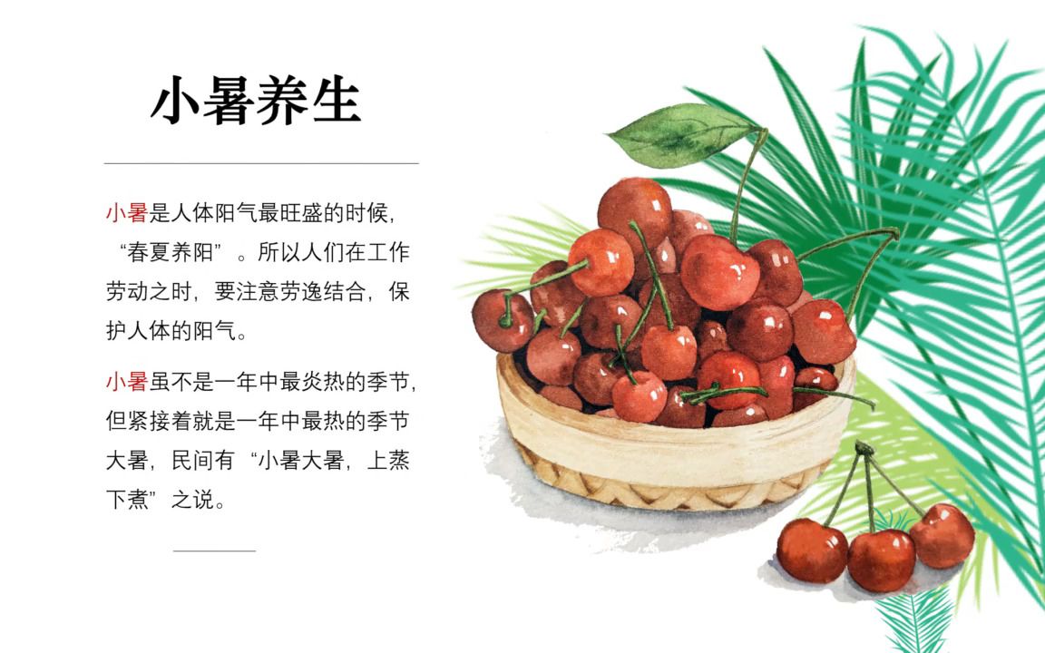 二十四节气小暑特点简介ppt模板