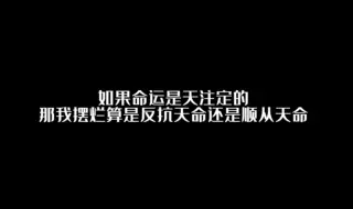 Download Video: 盘点:当哲学家混入了弱智吧！