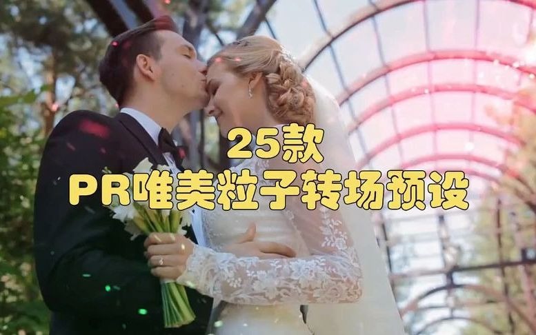 25款PR唯美漂亮魔法粒子转场过渡预设,高大上!哔哩哔哩bilibili