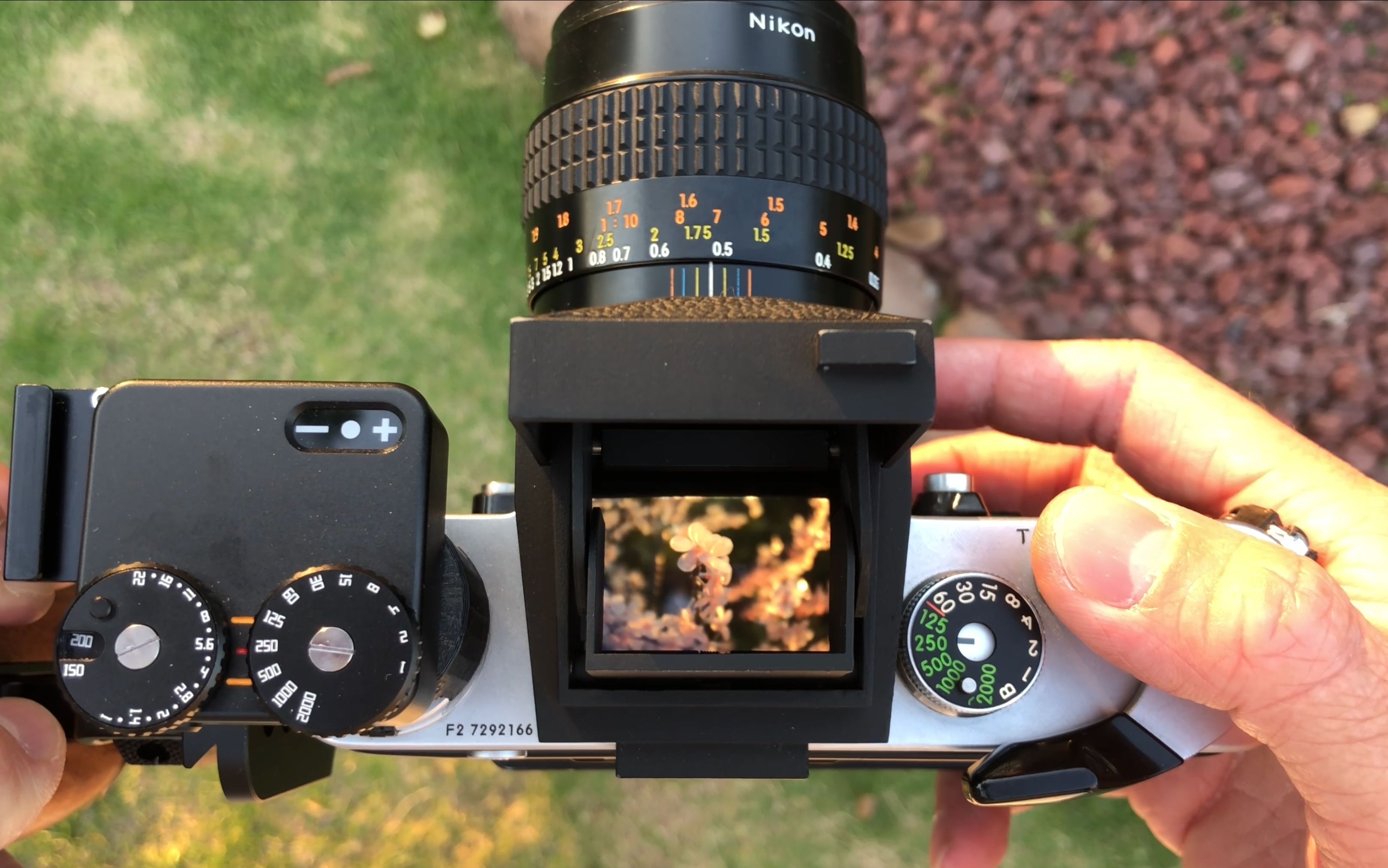 尼康f2|微距|胶片摄影|珠海