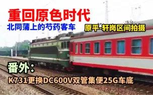 Descargar video: 【忆·中国铁路】2013原色时代 芍药称霸北同蒲 K731更换新车底 原平-轩岗区间拍摄